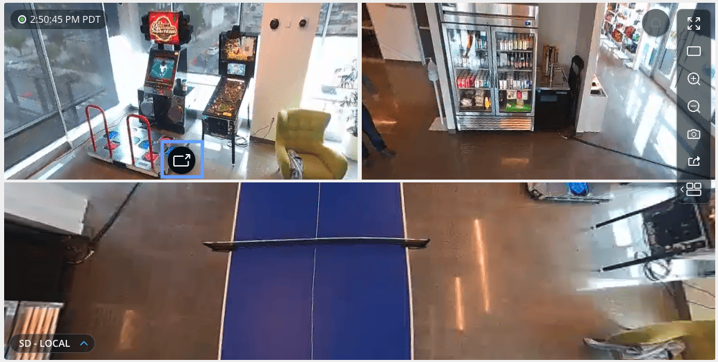 360 Fisheye Camera - Pan tilt zoom mode