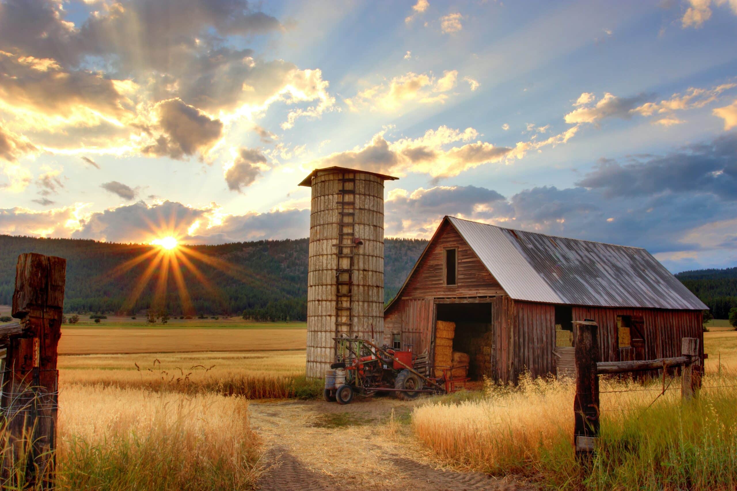 Granary protected by farm security cameras